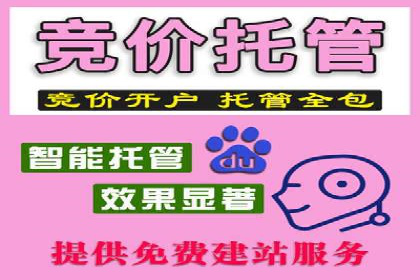 某汽车品牌SEM托管全流程解析